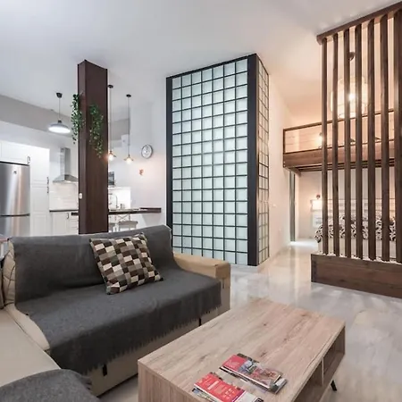 Apartment Spacious Loft In The Historic Center