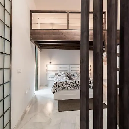 Spacious Loft In The Historic Center Apartment Malaga