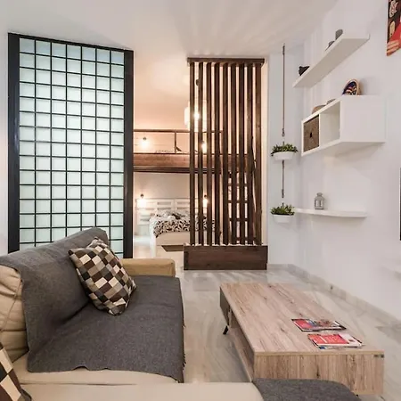 Spacious Loft In The Historic Center Malaga