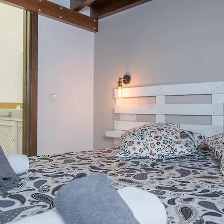 Spacious Loft In The Historic Center Apartment *