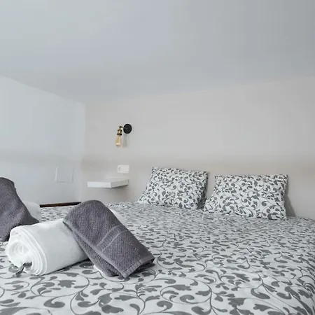 Spacious Loft In The Historic Center Apartment *